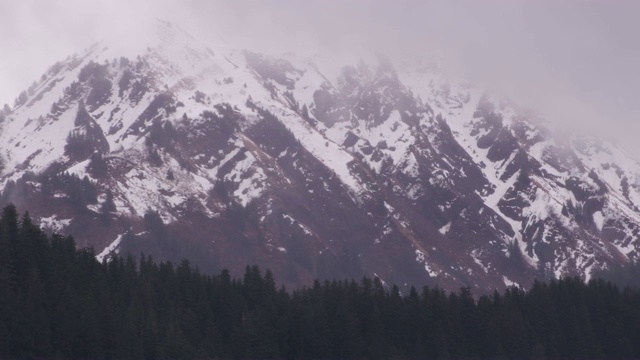 在阿拉斯加安克雷奇附近的雪山和树的鸟瞰图。视频素材