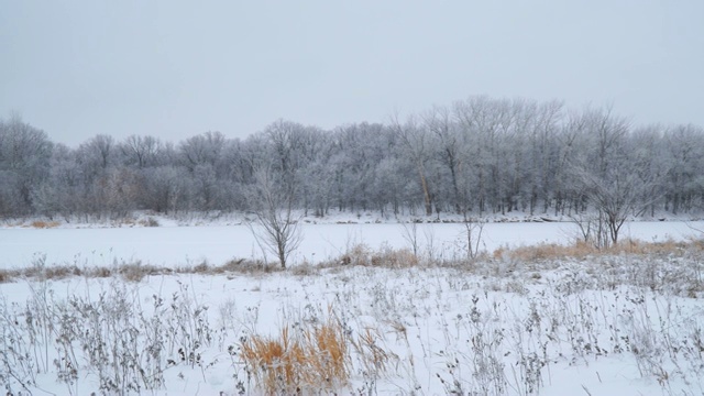 冬天的风景。白雪覆盖着河流和森林视频素材