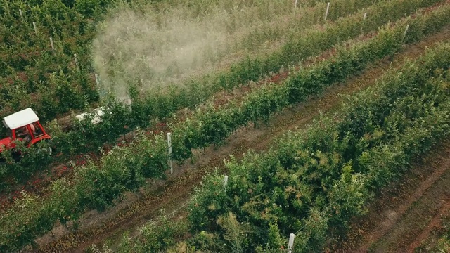 用拖拉机喷洒苹果树视频素材