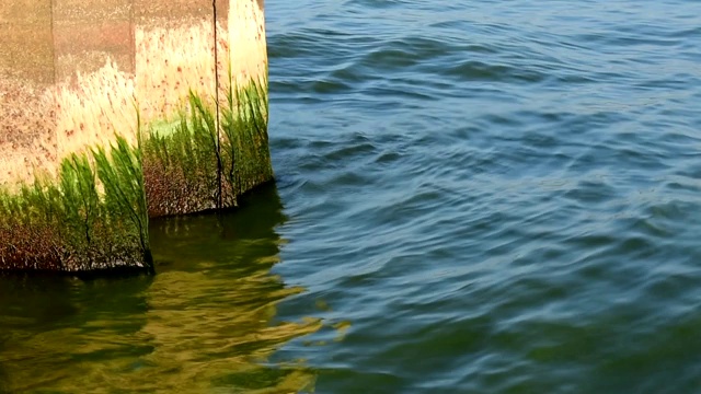 生锈的防波堤。风平浪静，天气晴朗。视频下载