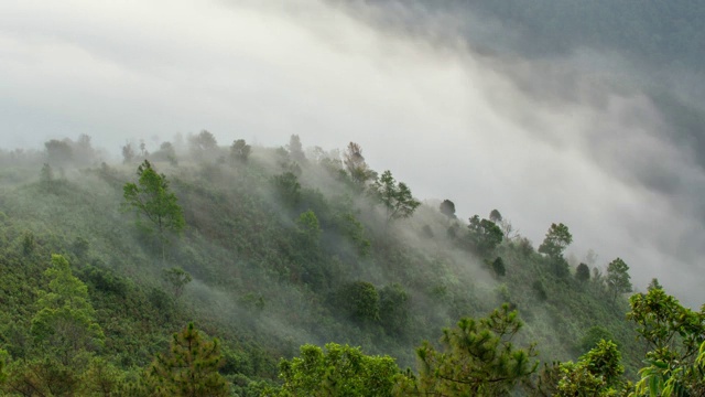 时间流逝雾移动在雨林山，泰国。视频素材