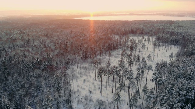 冬季森林的空中飞行。飞过白雪皑皑的森林，夕阳在白色的树木上落下橙色的余晖视频素材