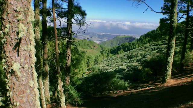 从农村到城市视频素材