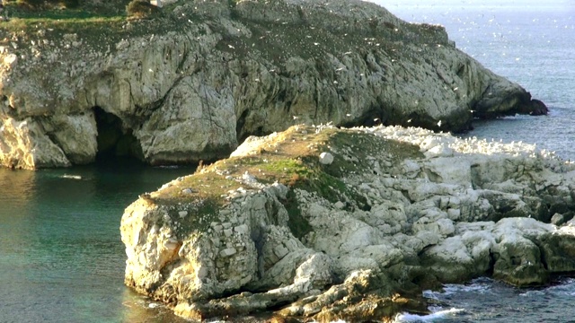 土耳其黑海上岩石岛屿的美丽景色视频素材