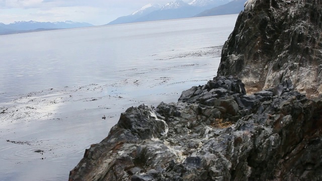 阿根廷火地岛群岛的比格尔海峡视频素材