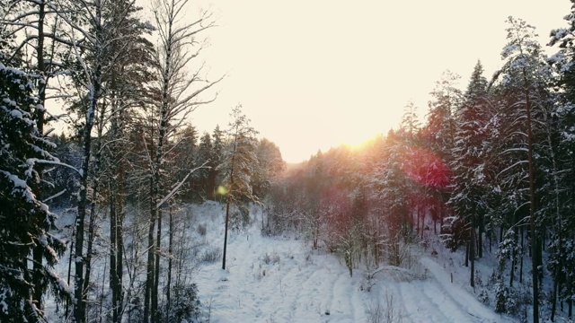 冬季森林的空中飞行。飞过白雪皑皑的森林，夕阳在白色的树木上落下橙色的余晖视频素材