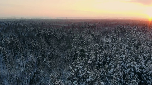 冬季森林的空中飞行。飞过白雪皑皑的森林，夕阳在白色的树木上落下橙色的余晖视频素材