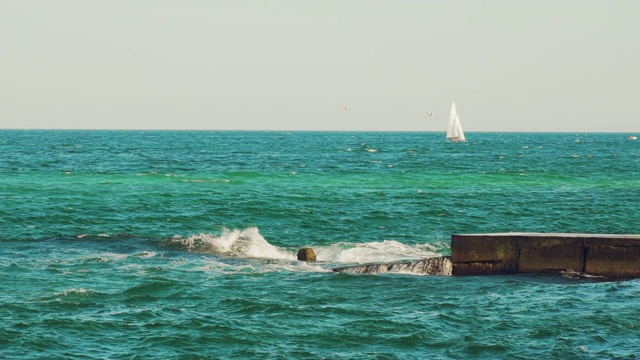 海上地平线上的帆船、游艇。视频素材