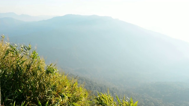 泰国北碧郡蓬比国家公园山顶上的大风和树木视频素材