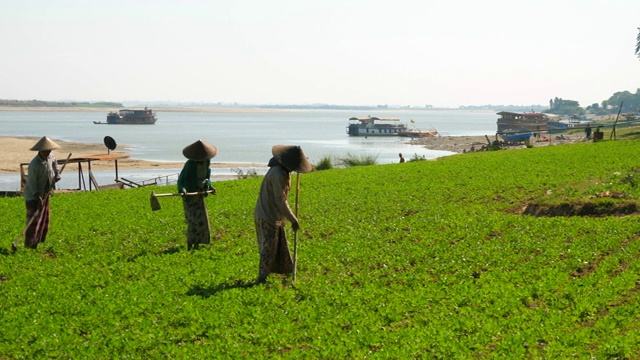 南玛尔(缅甸)，伊洛瓦底江(伊洛瓦底江)，农民在河边工作视频素材