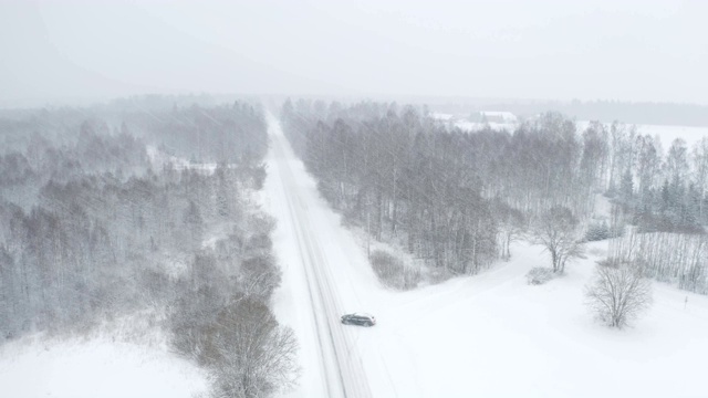 鸟瞰图上，许多云杉被白雪覆盖着视频素材