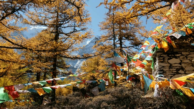 亚丁自然保护区仙乃日神山秋日森林中，彩旗祈福飘扬视频素材