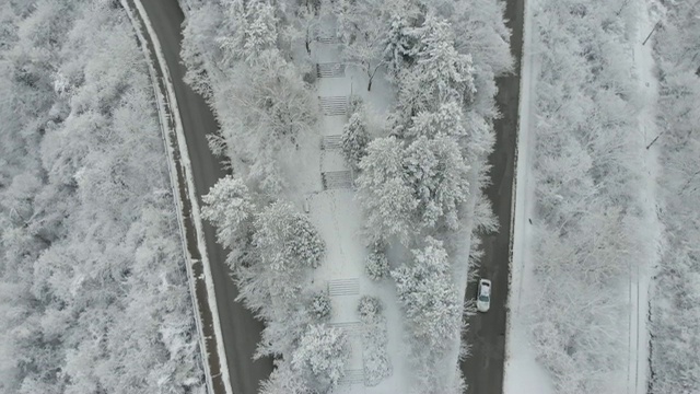 鸟瞰图转向公路在山区冬季积雪覆盖森林视频素材