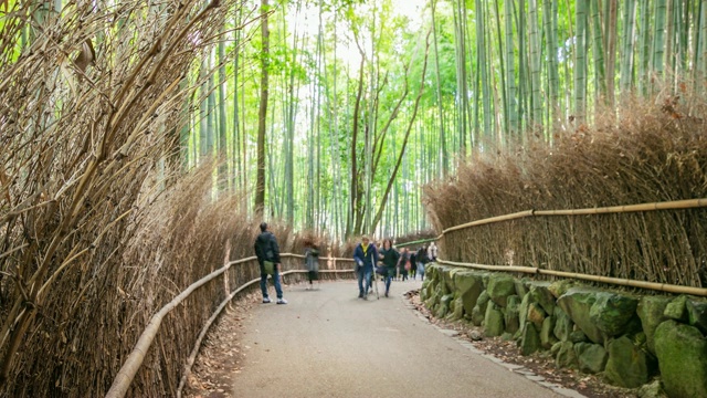 在日本京都的岚山竹林里，一群游客在散步视频素材