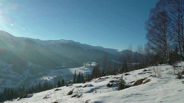 冬天山上的阳光和雪视频素材