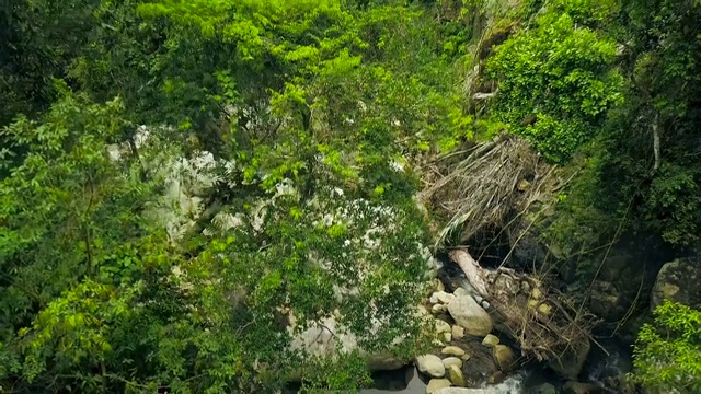 岩石河在绿色热带森林的石头上流动的空中景观。在热带雨林的山区河流无人机视图。丛林中的野生自然。自然保护视频素材