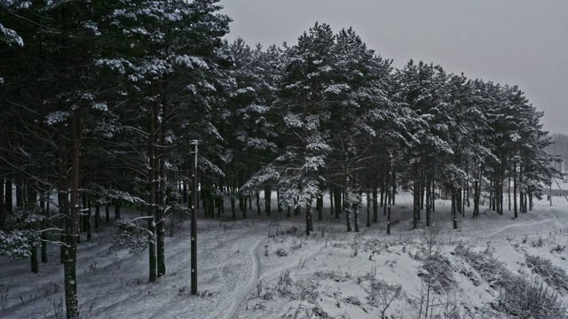 奇妙的冬季景观，霜林，雪山。在白雪皑皑的冬日里，从云杉树枝上飞起来视频素材