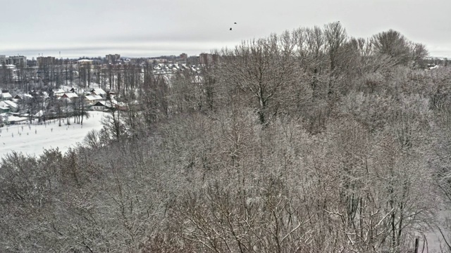 奇妙的冬季景观，霜林，雪山。在白雪皑皑的冬日里，从云杉树枝上飞过视频素材