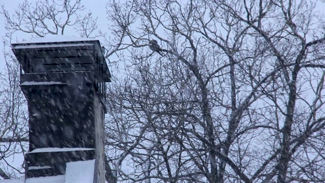 冬天下雪时烟囱冒烟。视频素材