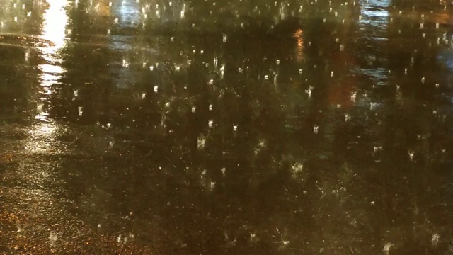 雨后路面上的汽车反光视频素材