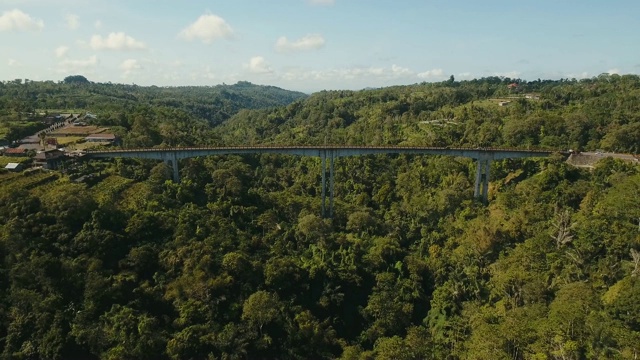 横跨丛林峡谷的桥。印尼巴厘岛视频素材