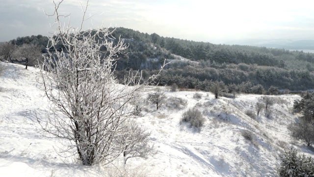 克里米亚冬季山地景观。沿雪山运动的万向节稳定器。视频素材