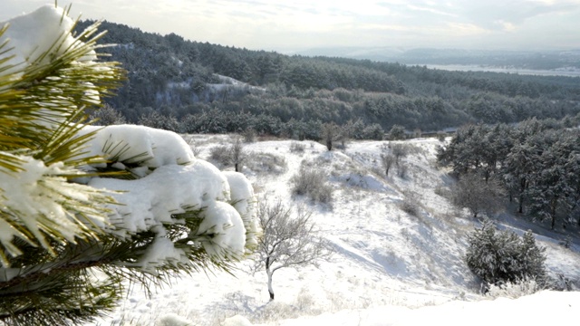 克里米亚冬季山地景观。白雪覆盖的山上的一棵小松树视频素材