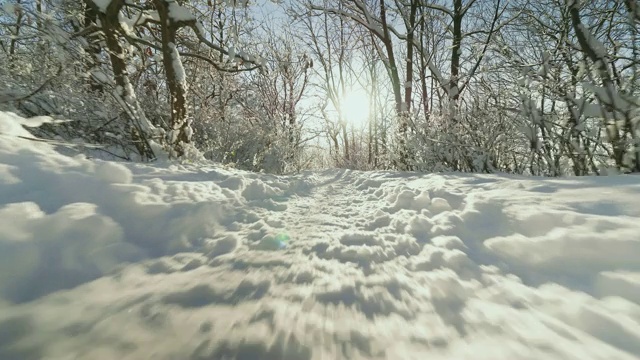 冬天森林被雪覆盖视频素材