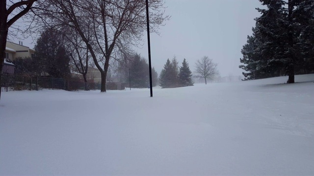 暴风雪暴风雪在郊区公园。郊区住宅区的自然雪景。下雪的北方天气景观与房屋。视频素材