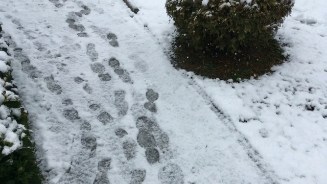 走,楼梯,雪视频素材