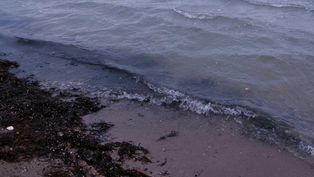 日落时分沙滩上的卡姆卡海草。视频素材