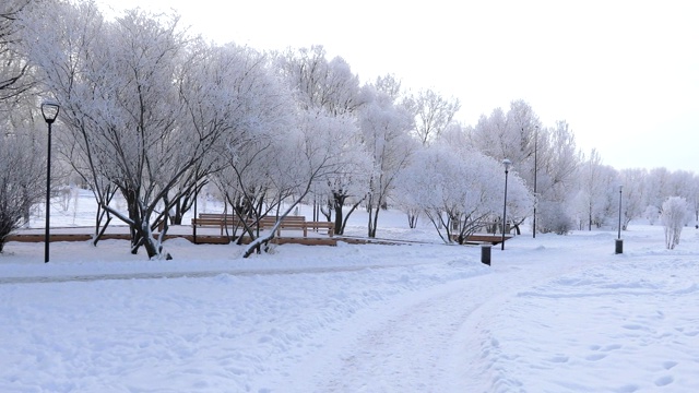 被白雪覆盖的城市公园视频素材