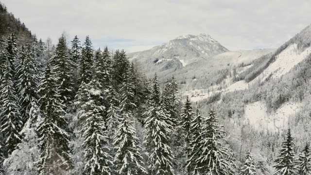 无人机拍摄的山谷中覆盖着积雪，背景是山脉视频素材