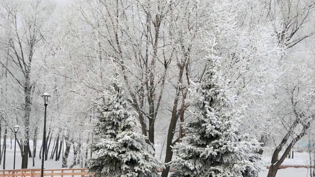 被白雪覆盖的城市公园视频素材