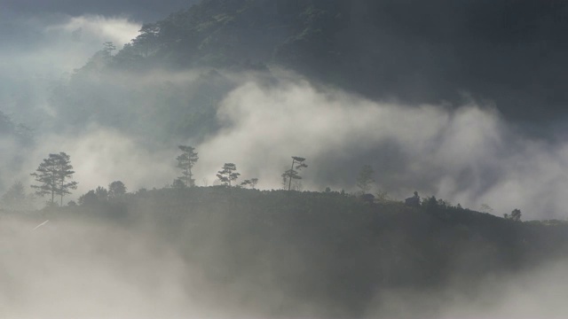 薄雾清晨的山谷视频素材