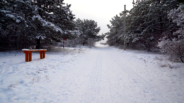 走在雪道上穿过冬天的森林视频素材