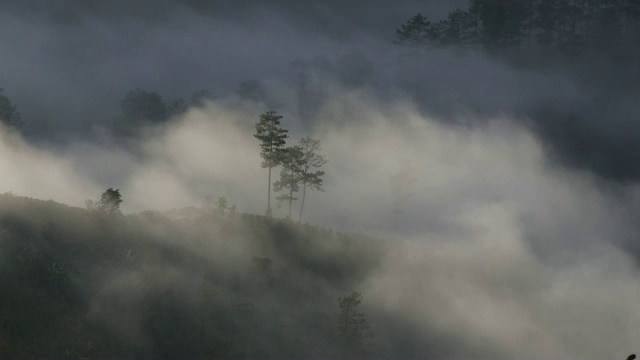 薄雾清晨的山谷视频素材