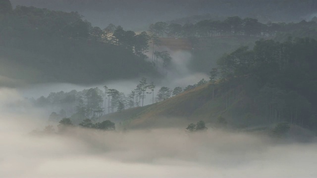 薄雾清晨的山谷视频素材