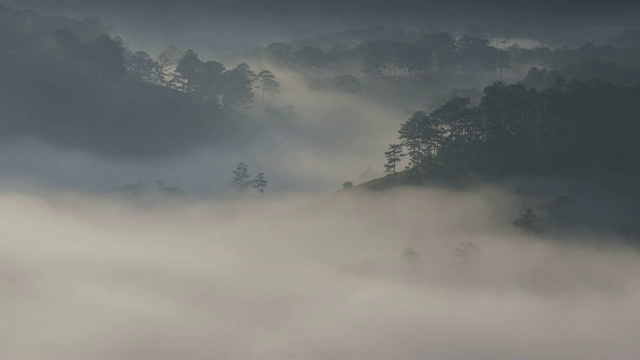 薄雾清晨的山谷视频素材