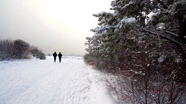 两个人沿着积雪的道路穿过冬天的森林视频素材