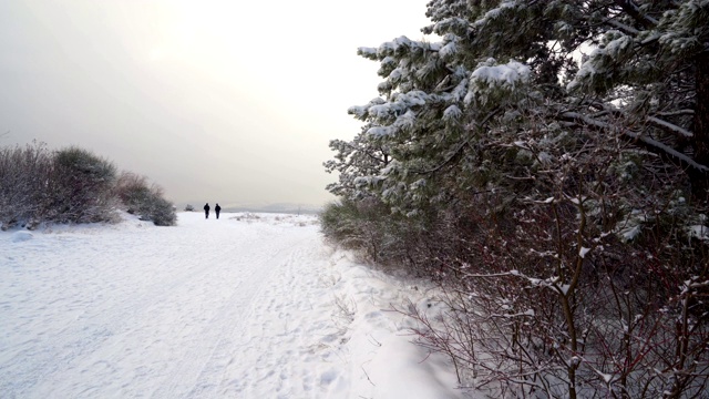 两个人沿着积雪的道路穿过冬天的森林视频素材