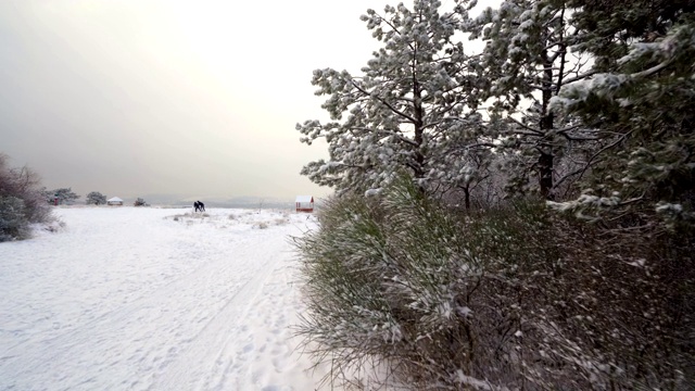 两个人沿着积雪的道路穿过冬天的森林视频素材