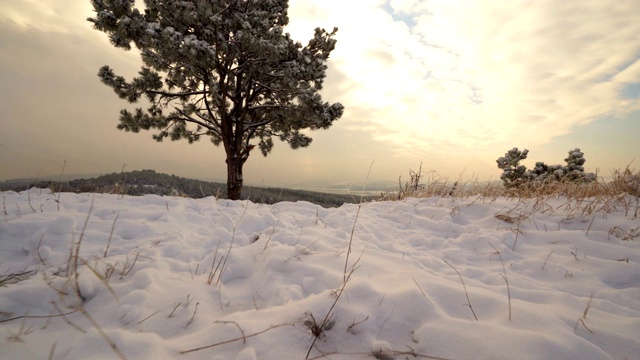 克里米亚冬季山地景观。沿雪山运动的万向节稳定器。视频素材