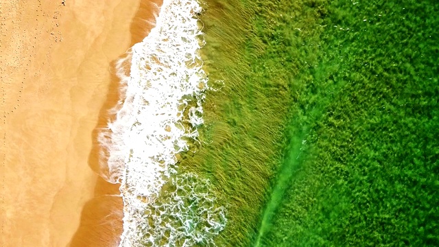 澳大利亚的海浪视频素材