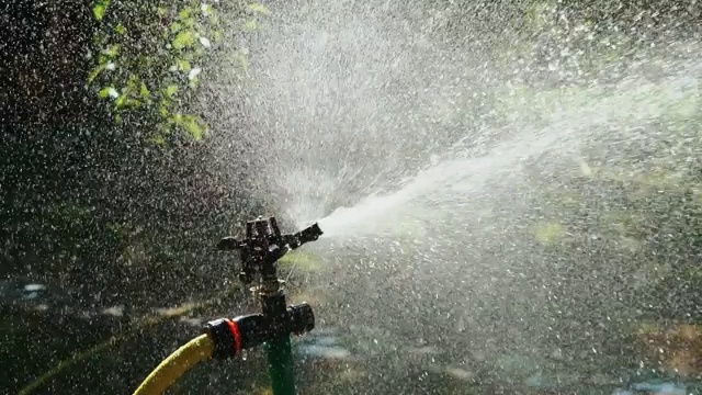 草坪洒水器正在工作。视频素材