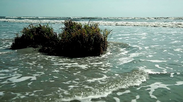 黑海海岸线视频素材