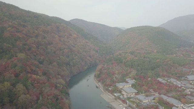 日本京都岚山秋树鸟瞰图视频素材