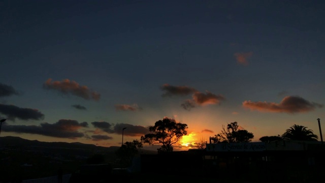 树后的夕阳视频下载