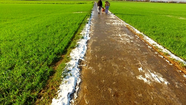 绿地视频素材