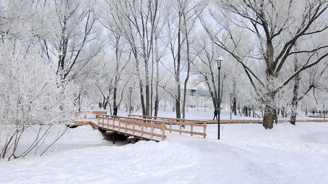 被白雪覆盖的城市公园视频素材